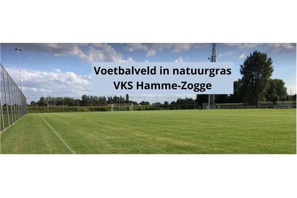 Aanleg natuurgras voetbalveld - Sportinfrabouw NV